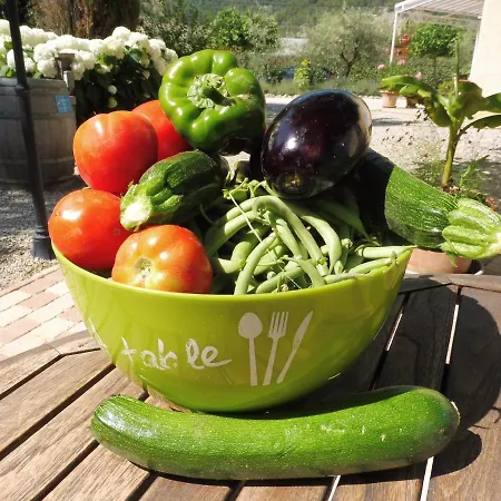 Le Petit Collet Eygaliers (Drome)
